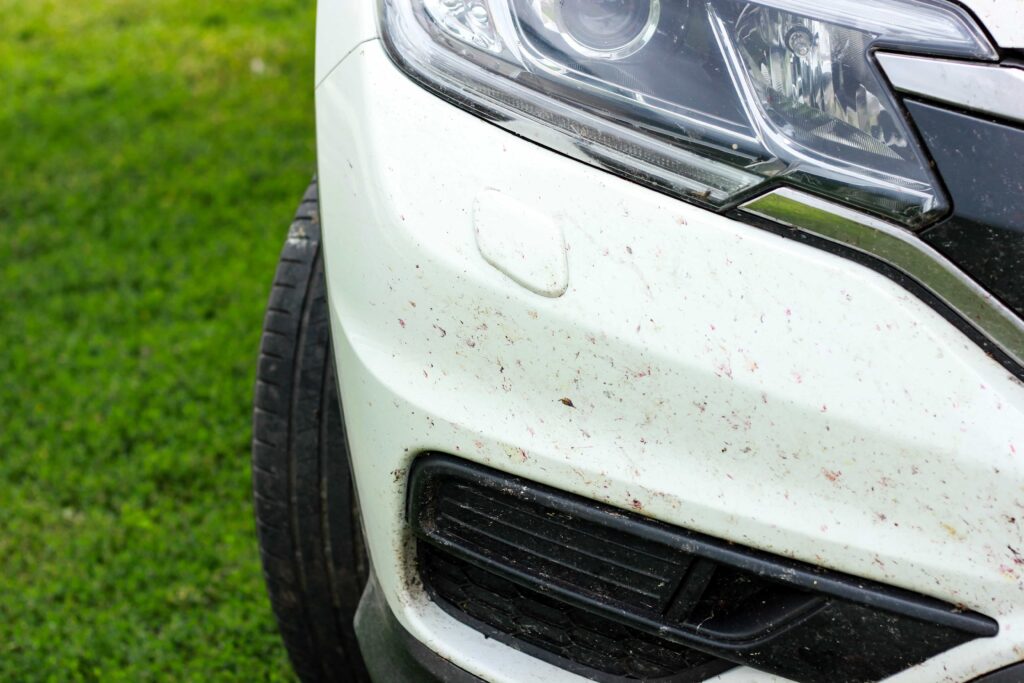 Close-up of thick yellow pollen and environmental debris on a white car bumper, showcasing professional detailing service in Ocala, Florida.