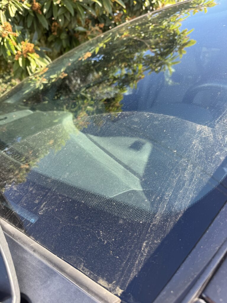 Ocala's Guide to Professional Auto Detailing That Protects Your Investment 2 close-up of ceramic coating being applied during a professional auto detailing session