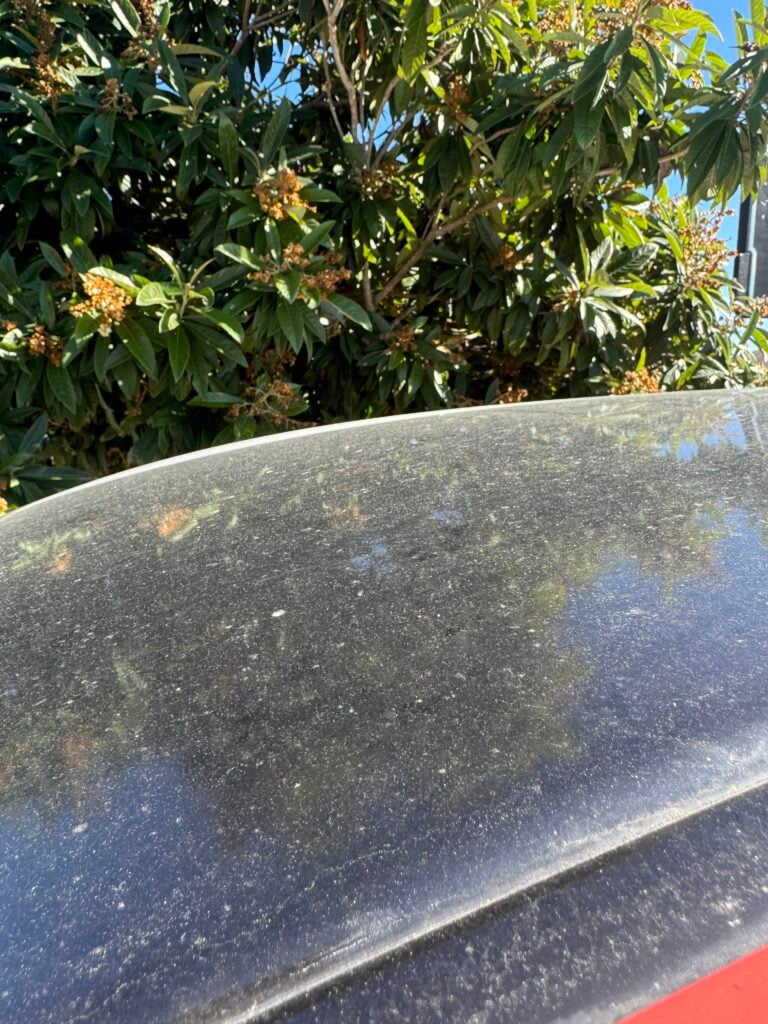 professional detailer performing car polishing near me service on a sedan in Ocala FL