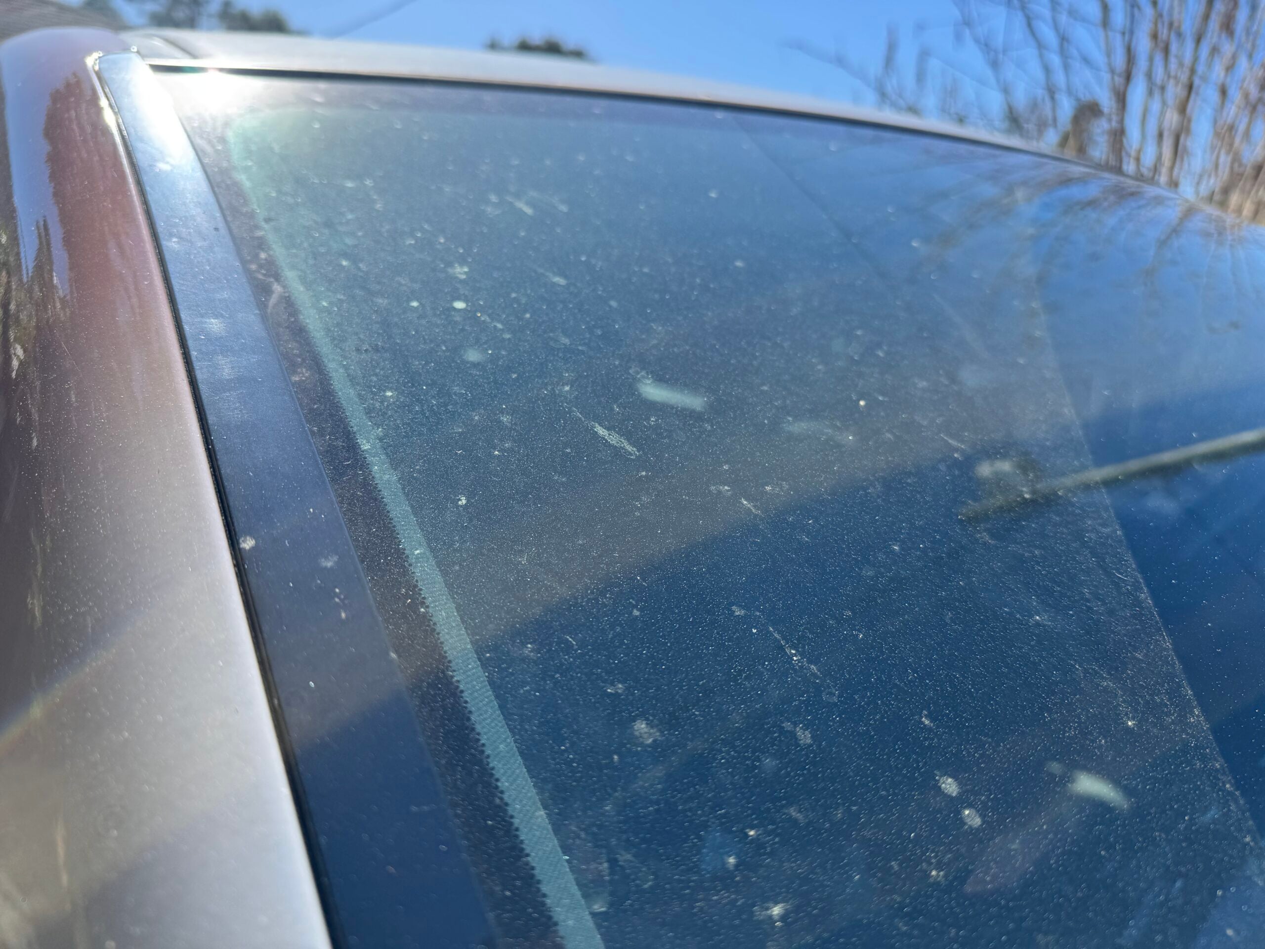 Home 26 Is 24/7 Car Detailing Possible in Ocala? What to Expect